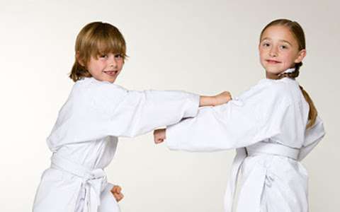 All Anglia Karate Association photo